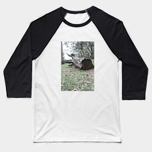 Tree Baseball T-Shirt